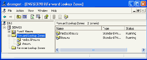   DNS-